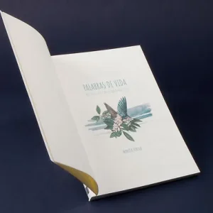 Voluptate velit esse